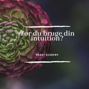 Tør du bruge din intuition?